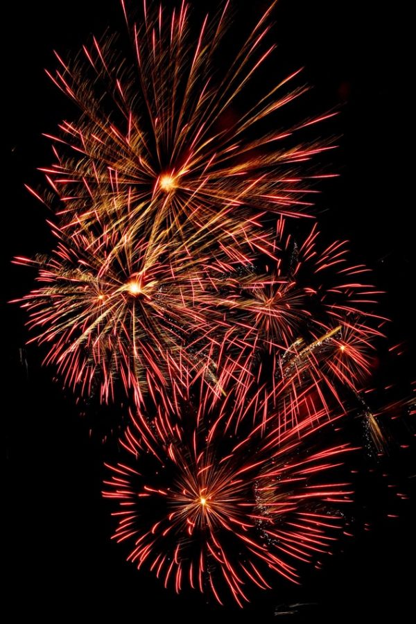 Why Should You Celebrate New Year?